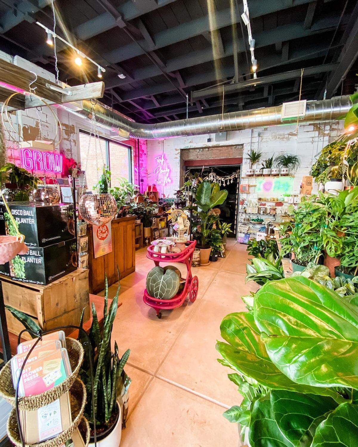 Heather Giesen opened her GROW Giesen Plant Shop at Cleveland Corner in August of 2020.