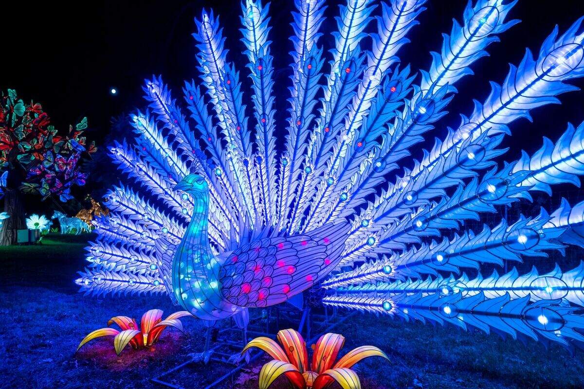 The annual Asian lantern festival Wild Lights returns to the Sedgwick County Zoo on Wednesday.