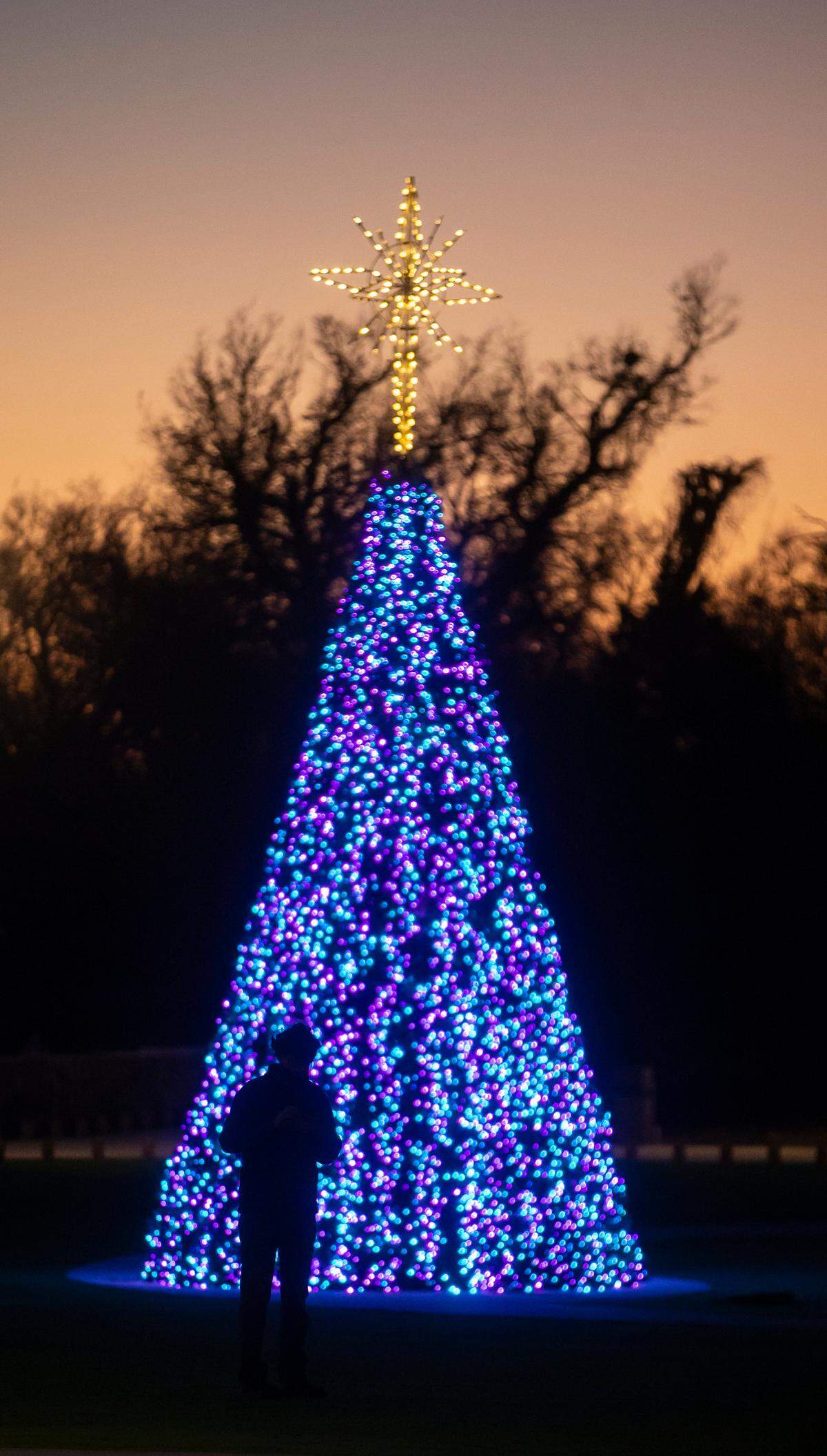There’s a whole new section to visit during Illuminations this year: The Koch Carousel Gardens.