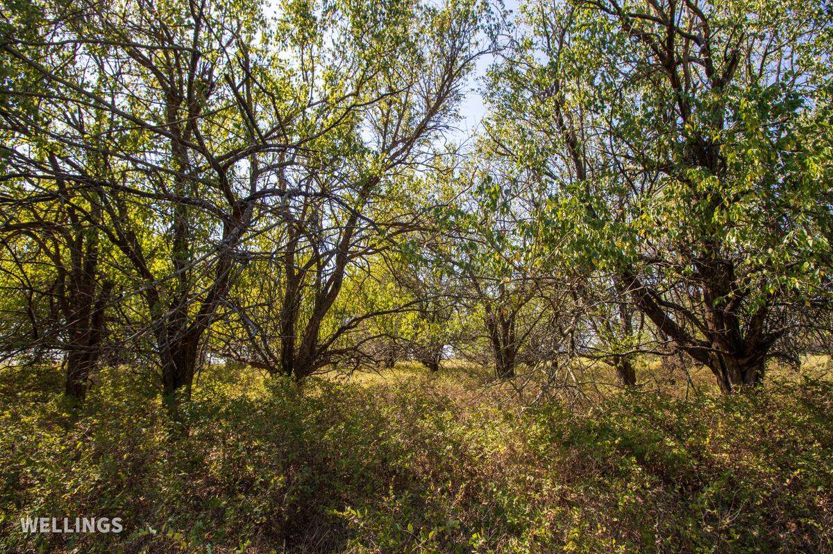 This 470-acre ranch in the Flint Hills of Kansas is set to be auctioned Nov. 28.