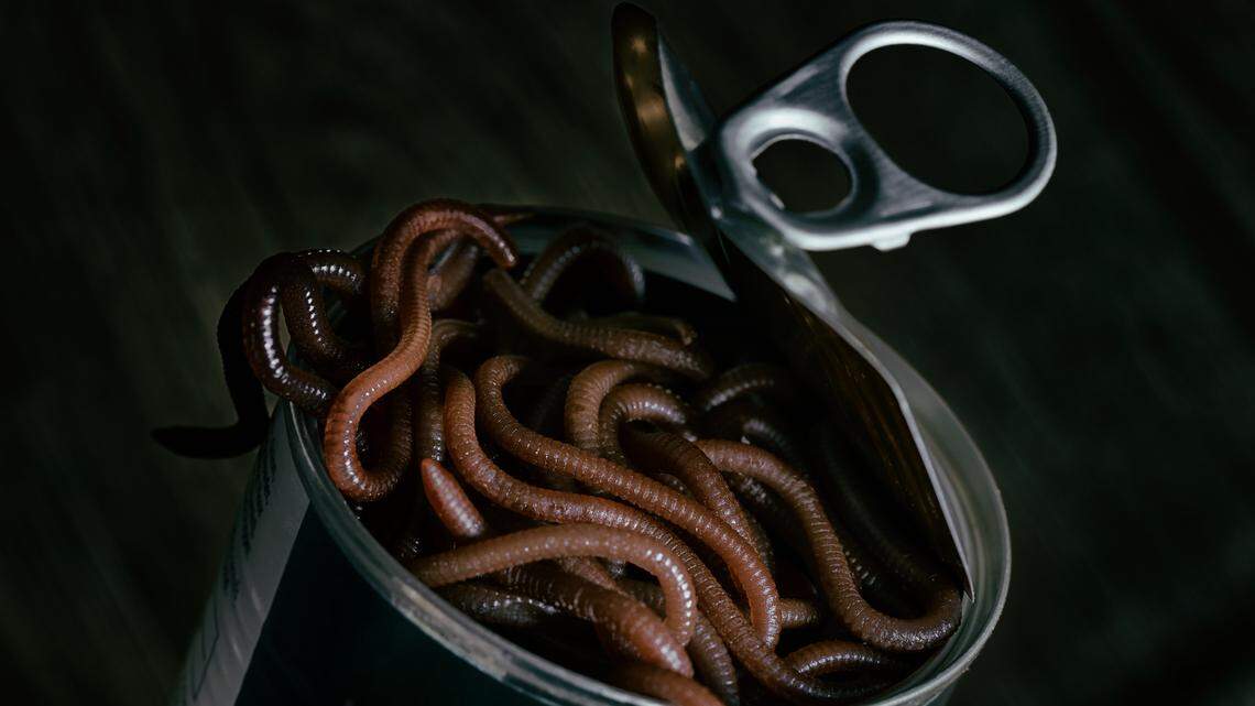 Kansas Charlie Kirk Act versus the law of unintended consequences | Opinion