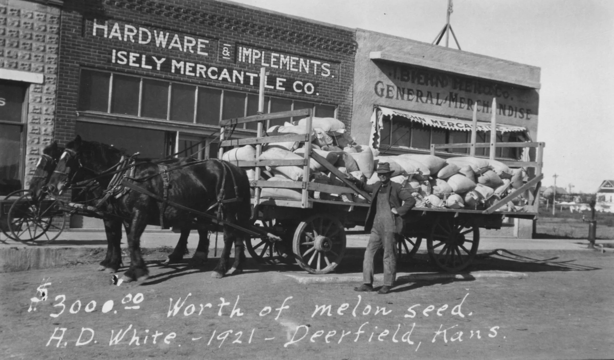 Farmer Tom White’s great grandfather, A.D. White, prepares to send off his sacks of watermelon seed in 1921. All of that seed would be worth roughly $50,000 today.