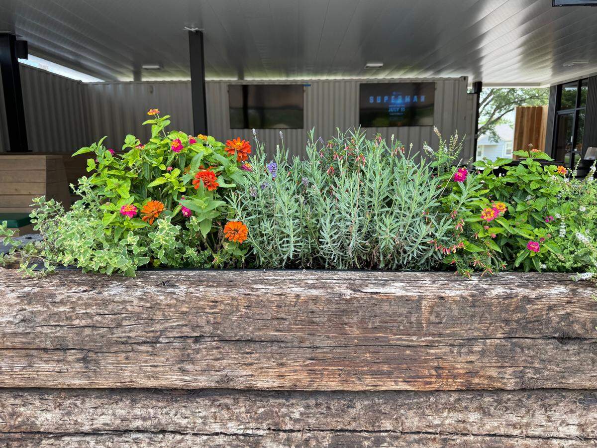 Point Nine’s outdoor patios are decorated with beds of fresh herbs, which will be used in the restaurant’s craft cocktails.