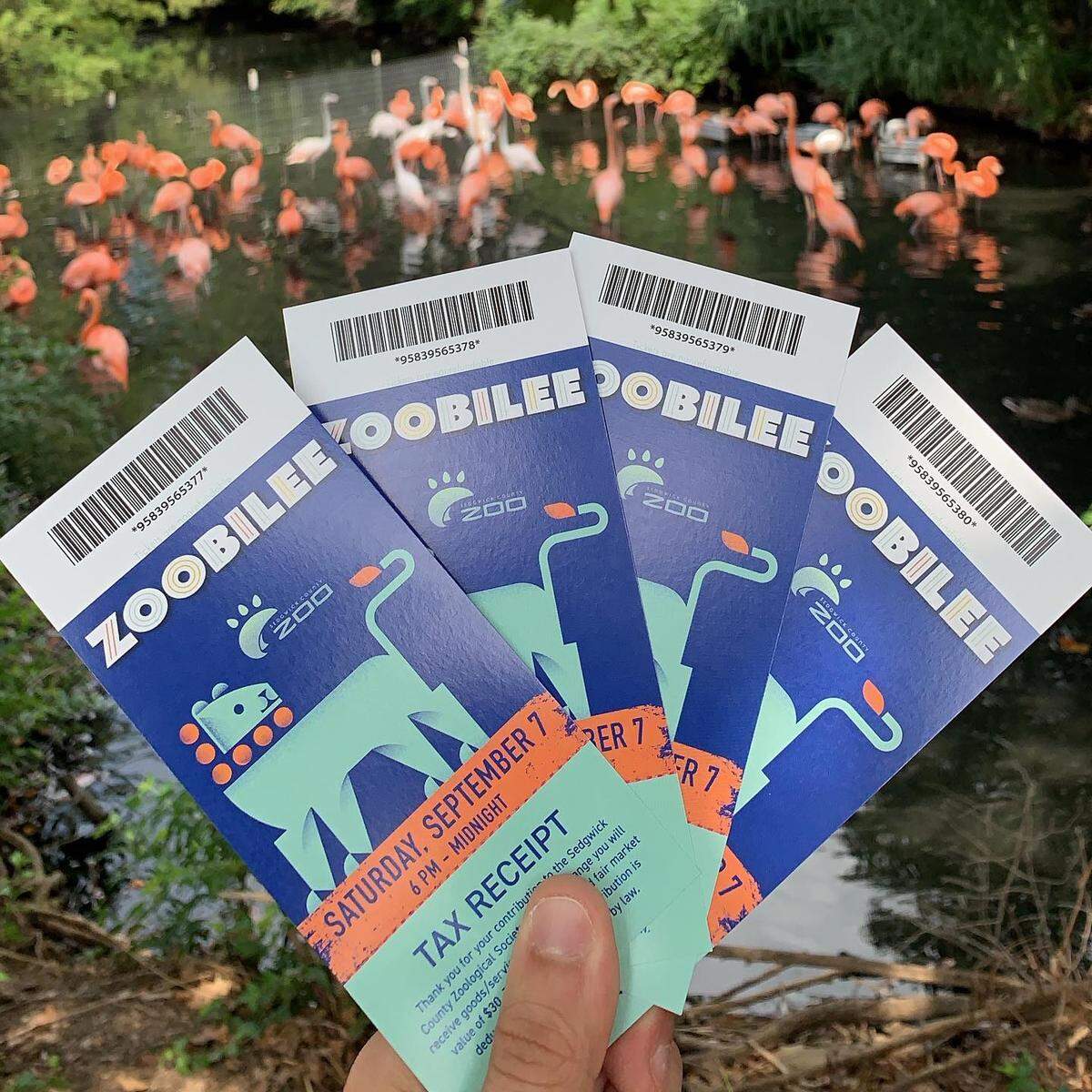 Tickets are still available for Saturday’s Zoobilee fundraiser.