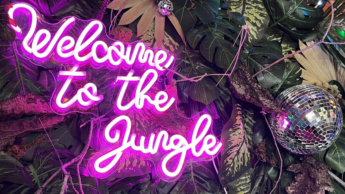 People who visit Public at the Brickyard this weekend will see the decorations it’s put up for its new pop-up bar, called “The Wilds.” It officially opens on Wednesday, May 15.
