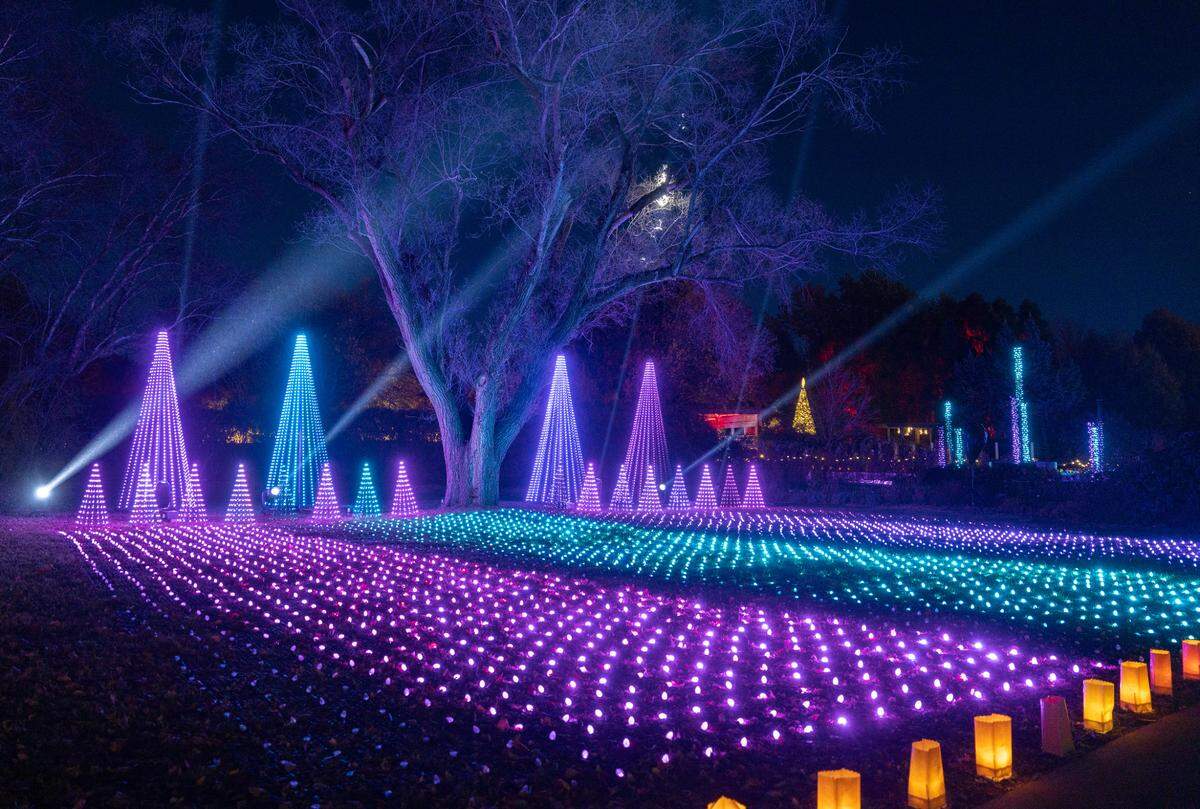 Illuminations at Botanica will feature both new and classic light installations.