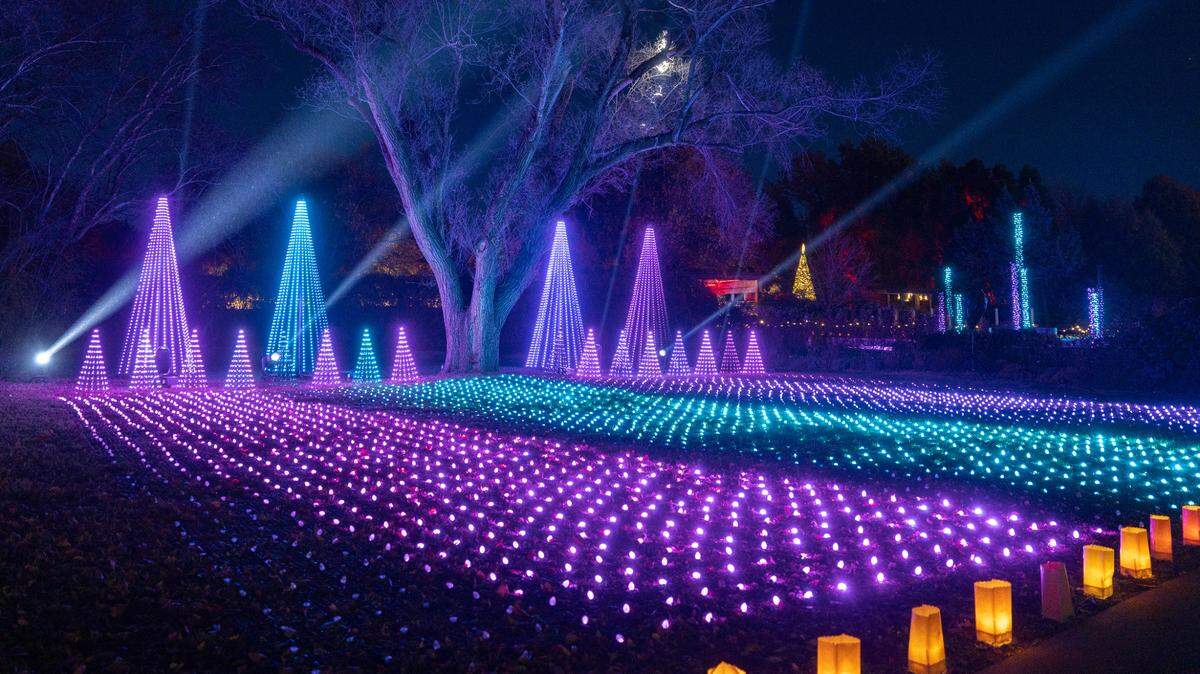 Illuminations at Botanica will feature both new and classic light installations.