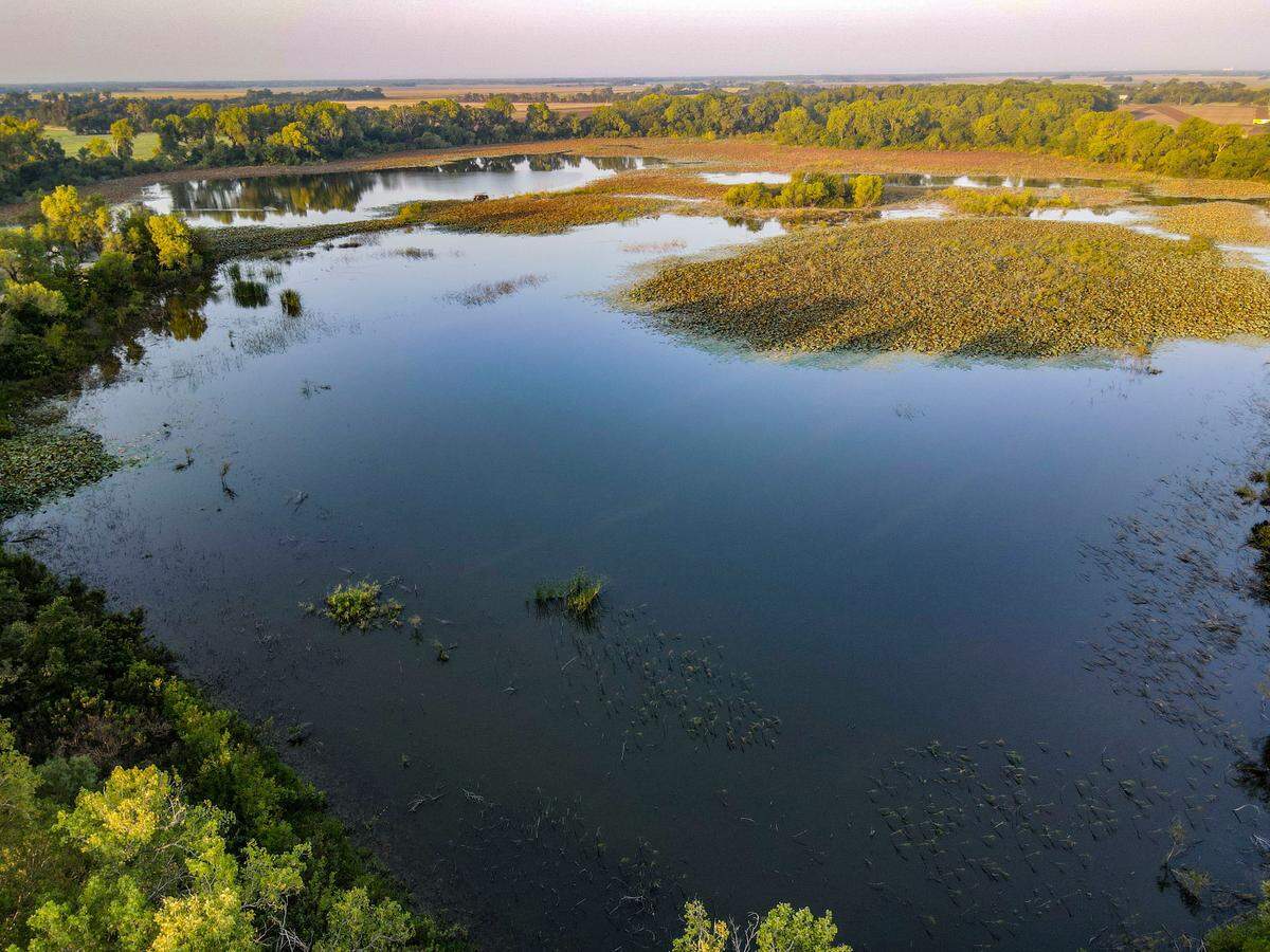 The ranch has prime waterfowl habitat.