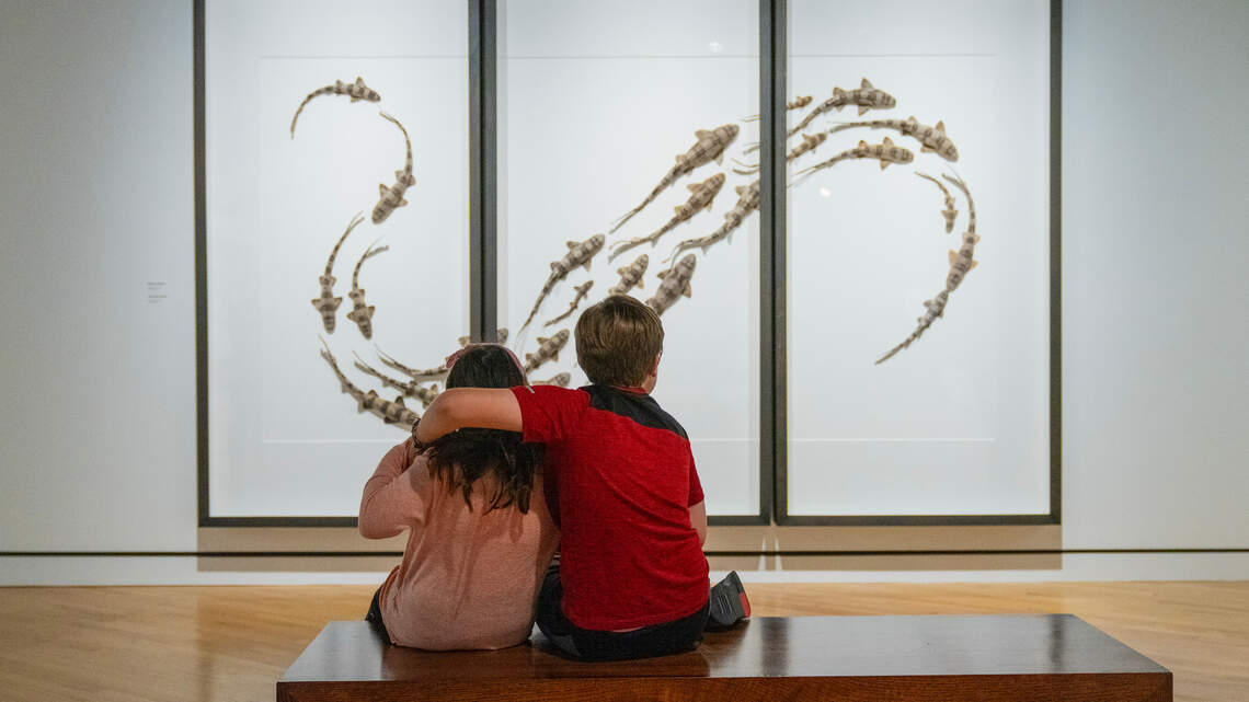 7 cities with museum exhibitions worth the drive from Wichita this summer