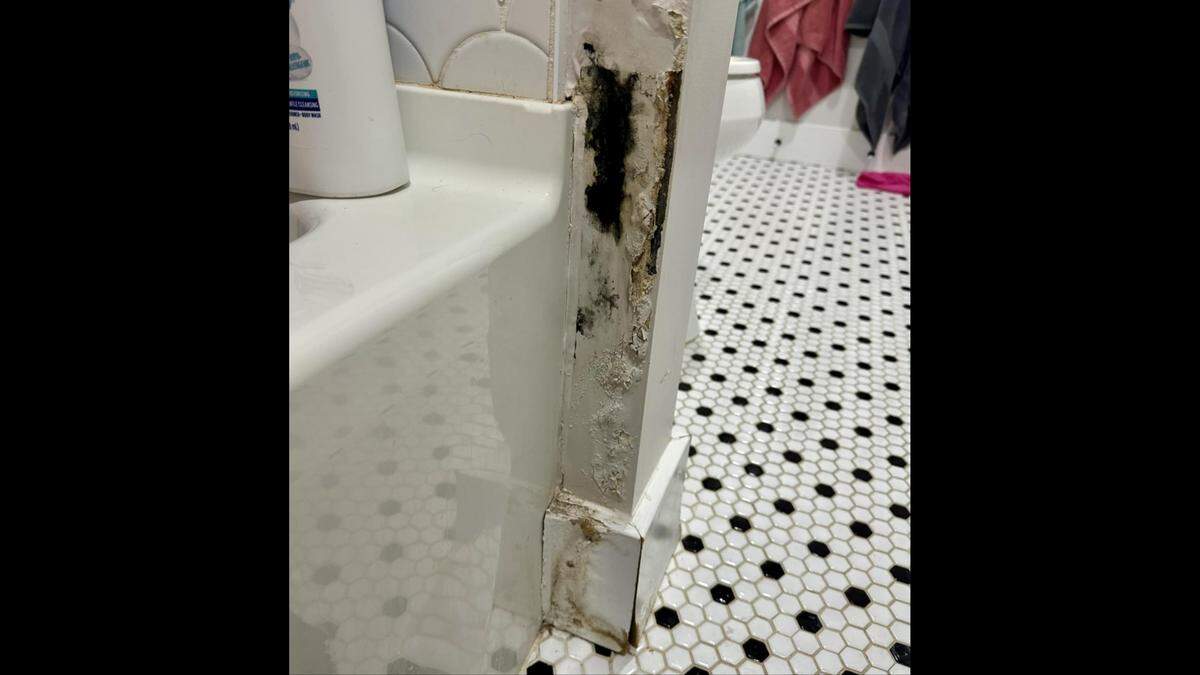 Black mold in the Buehners’ bathroom.