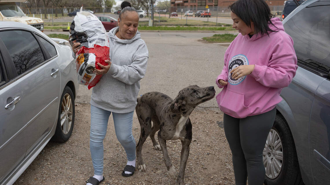 Wichita animal lover, once homeless, now up for a national award. Here’s why