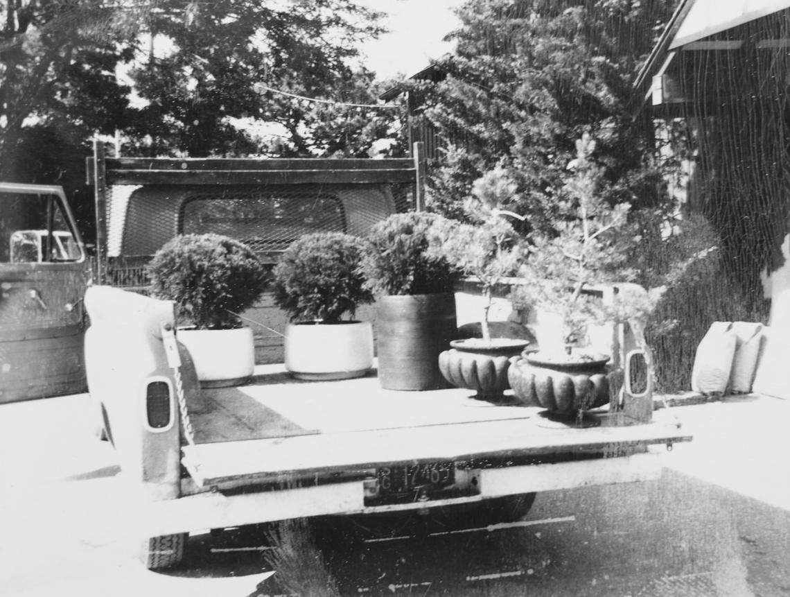 A vintage photo at Hillside Nursery, which is celebrating 100 years in business this year.