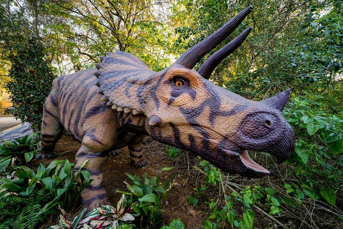Dinosaurs Around the World opens May 20 at Botanica and will feature ten animatronic dinosaurs throughout the gardens.