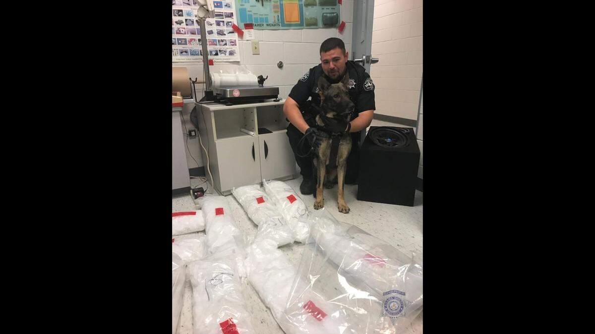 Police dog Nacho helped sniff out 113 pounds of meth in a subwoofer box during a Colorado traffic stop.