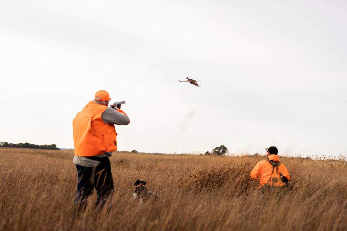 Field shooting at Hooray Ranch.