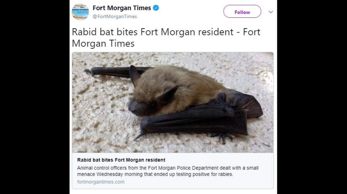 A rabid bat bit a woman in her Colorado home.