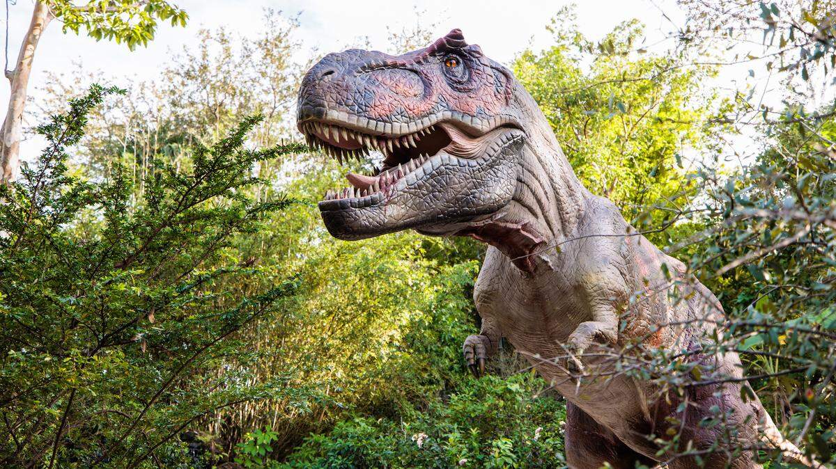 Dinosaurs Around the World opens May 20 at Botanica and will feature ten animatronic dinosaurs throughout the gardens.