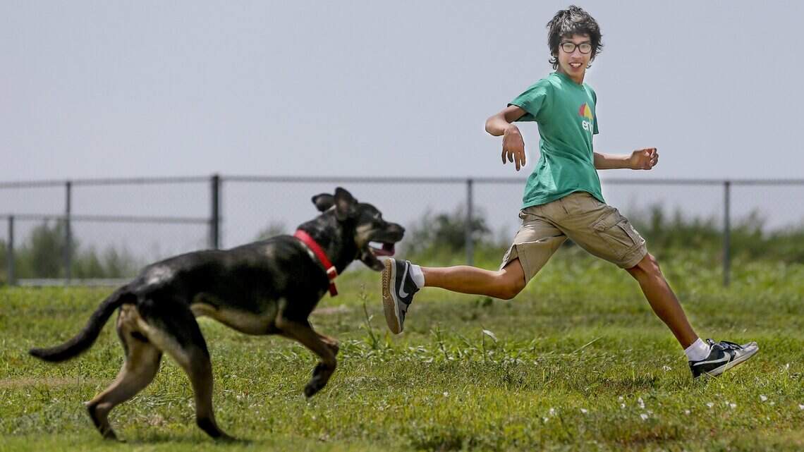 Wichita closes its dog parks to prevent spread of coronavirus