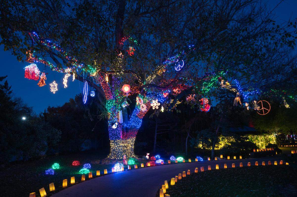 Illuminations will run from opening day on Nov. 29 through Jan. 4. Tickets are $16 for nonmembers and $13 for members.