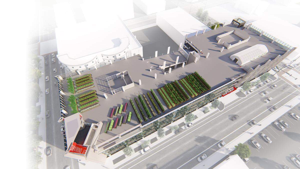 A rendering of what Fidelity Bank’s rooftop Rise Farms will look like