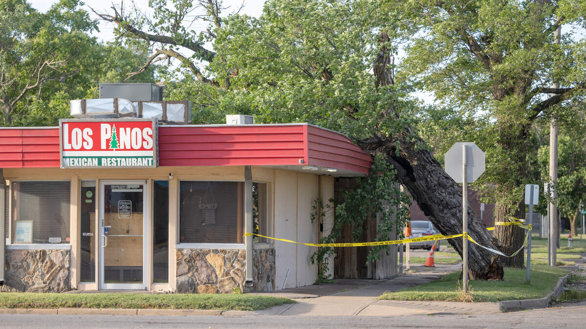 Los Pinos gets its name from the pine tree. Its owners woke up Monday to find a big tree, toppled by Monday night’s storms, resting on the roof.