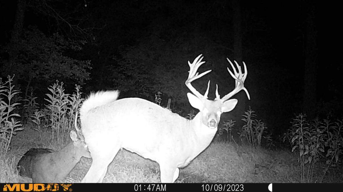 Chad Chambers’ buck in 2023.
