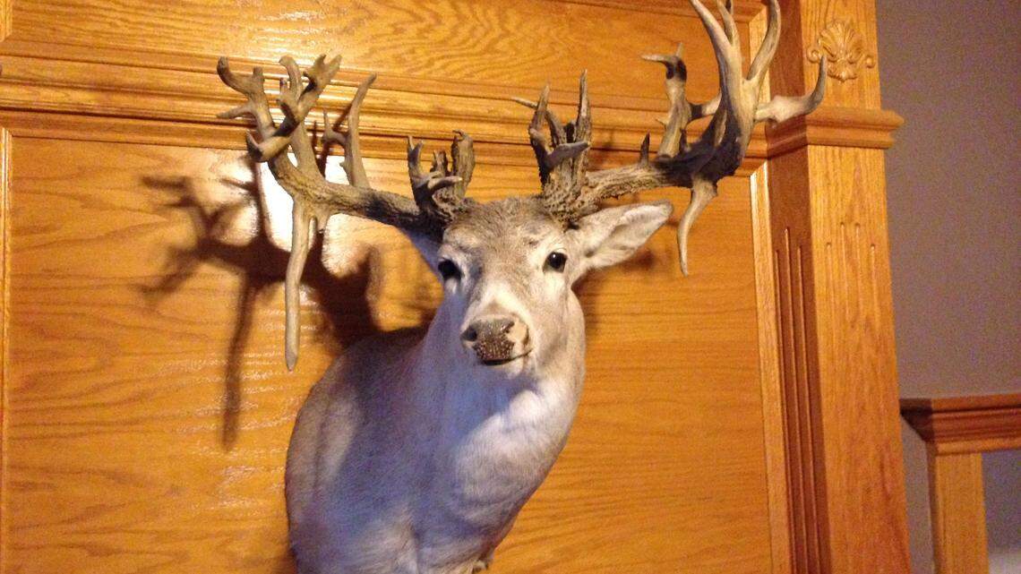 Surprise measurement results in his first deer being Kansas’ fourth-largest non-typical
