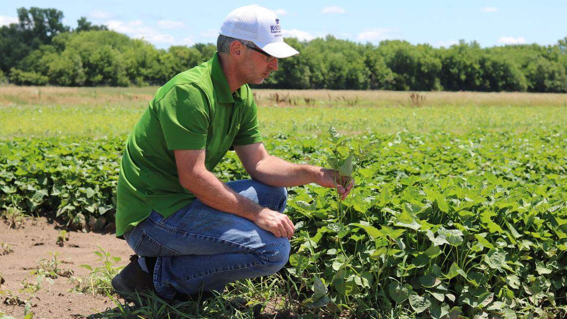 Jason Griffin, director of the John C. Pair Horticulture Center, looked for alternate funding sources for the center after Kansas State University said budget cuts would force it to close the center.