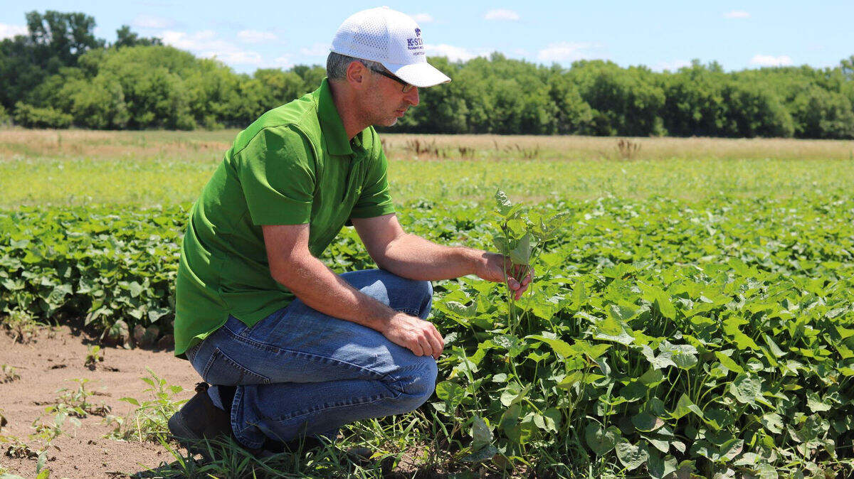 Jason Griffin, director of the John C. Pair Horticulture Center, looked for alternate funding sources for the center after Kansas State University said budget cuts would force it to close the center.