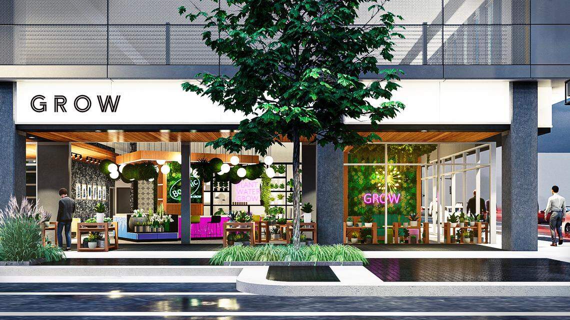 Unique business — a trendy plant shop with a martini bar — is opening in downtown Wichita