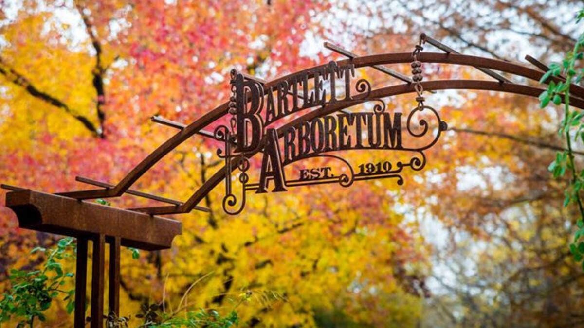 It’s TreeFest weekend at Belle Plaine’s Bartlett Arboretum.