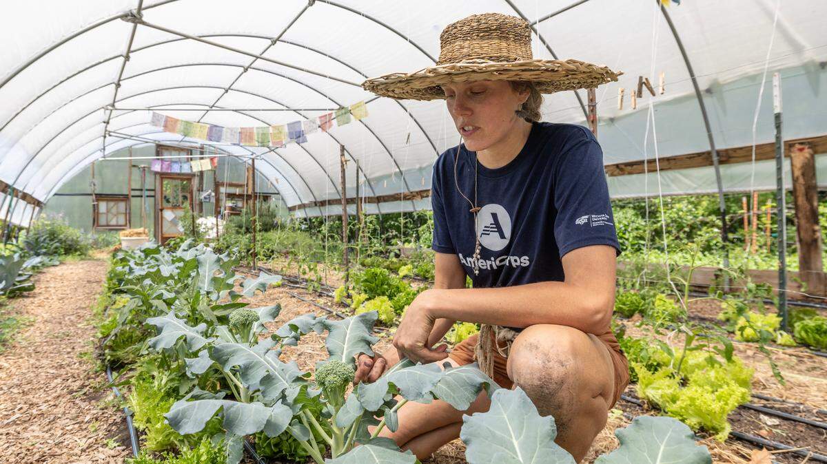 Annie Friesen is one of two employees at Bartlett Arboretum that were funded by the AmeriCorps program and now funding for AmeriCorps jobs has been cut. AmeriCorps is a volunteer stipend program that provides direct service jobs like after-school tutoring and homebuilding. Friesen, along with Deanna Dreiling, help run Bartlett Arboretum’s farm to table food program.