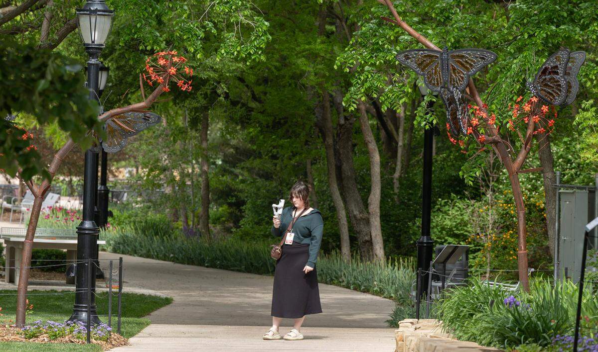 A visitor to Botanica takes video of a piece from the exhibit Glass in Flight 2 by Alex Heveri. The exhibit can be seen throughout Wichita’s Botanica gardens and features pieces made of metal and glass. 