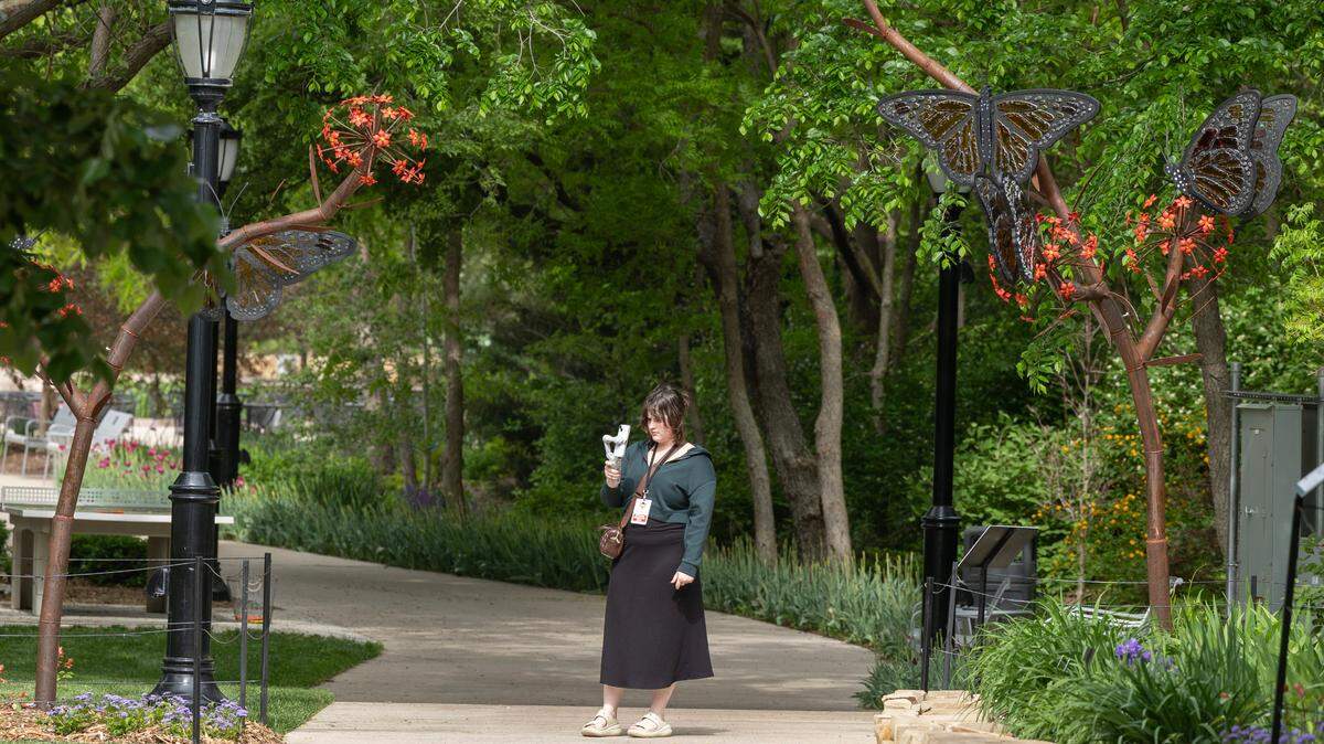 A visitor to Botanica takes video of a piece from the exhibit Glass in Flight 2 by Alex Heveri earlier this year. Botanica plans to seek a state water grant to expand its gardens.