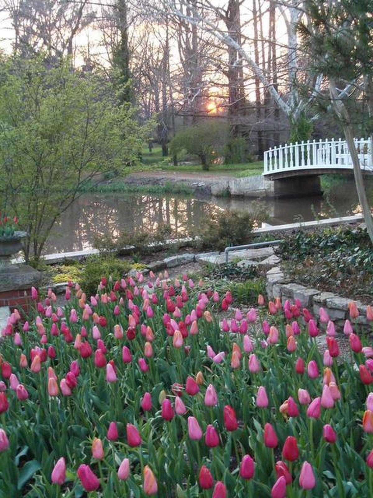 Art at the Arb will return in April at Bartlett Arboretum in Belle Plaine.