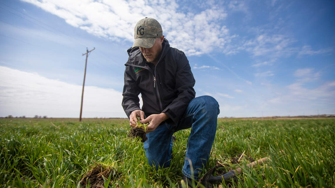 Organic tools: How this Kansas company uses all-natural products to help farmers