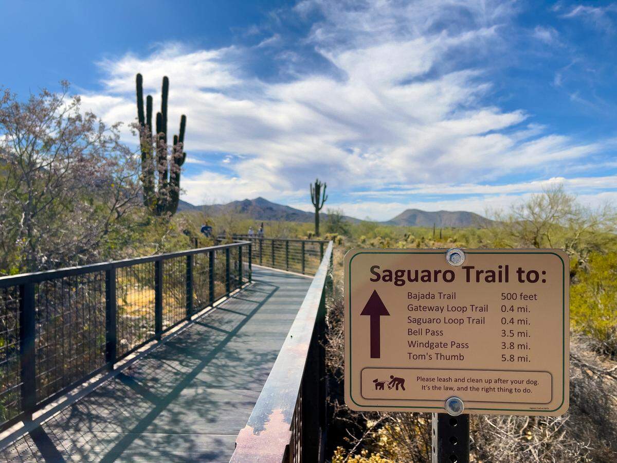 The Gateway Trailhead at Scottsdale’s McDowell Sonoran Preserve leads to an array of desert trails through the preserve’s unique geology, stunning geography, lush cacti forests and diverse wildlife.
