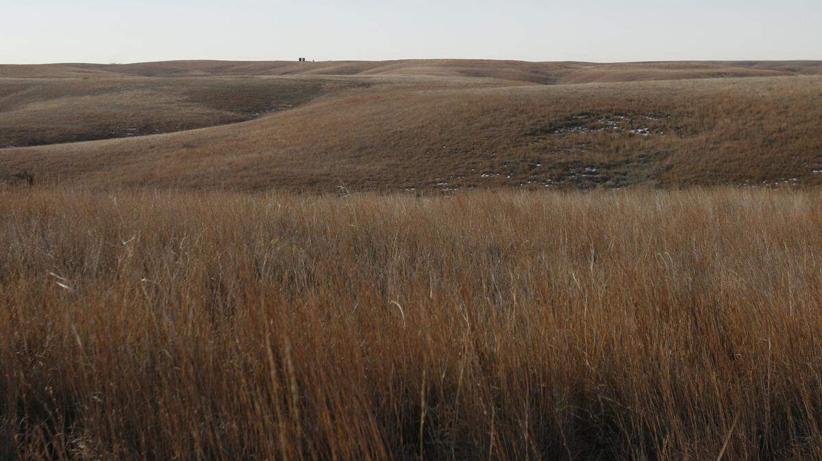 The Hashknife Ranch west of Medicine Lodge is near picture perfect Kansas grasslands. Diligent management of the land has kept it largely free of red cedars.