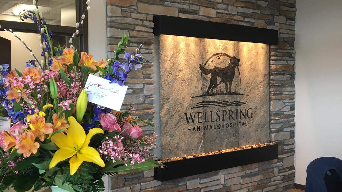 The newly named Wellspring Animal Hospital has opened in the former Mama Deaux Seafood House space on the west side.