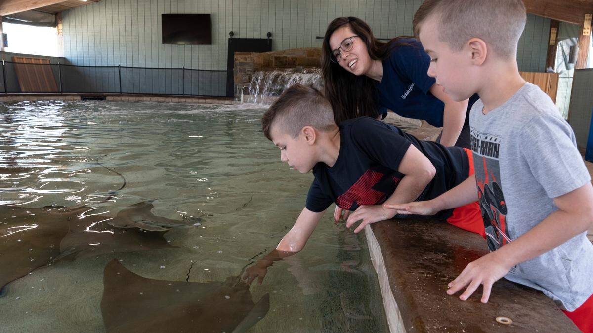 Stingray Cove at the Sedgwick County Zoo is one of many local attractions that has reopened for the spring season.