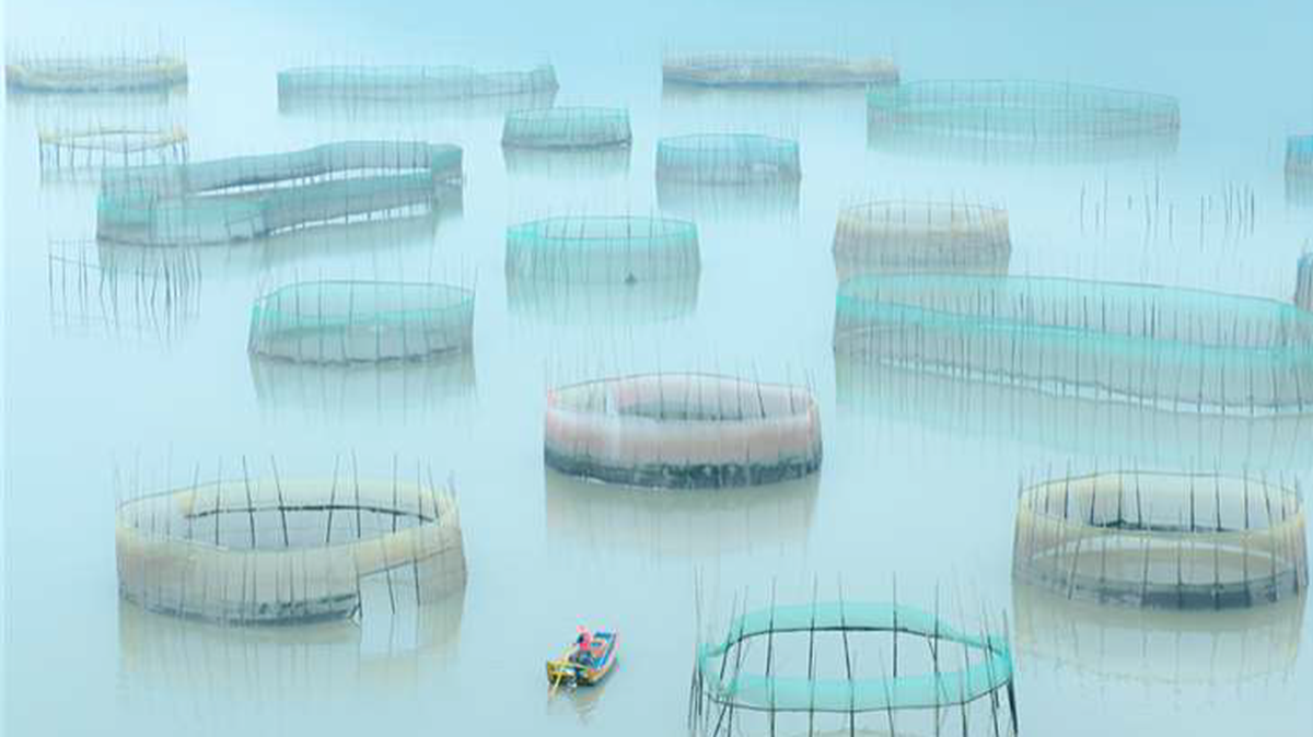 Wichita Collegiate high school senior Shi Yan won a $10,000 scholarship for his photographic portfolio, “Beautiful China.” The pictures tell the story of Chinese farmers and fisherman.
