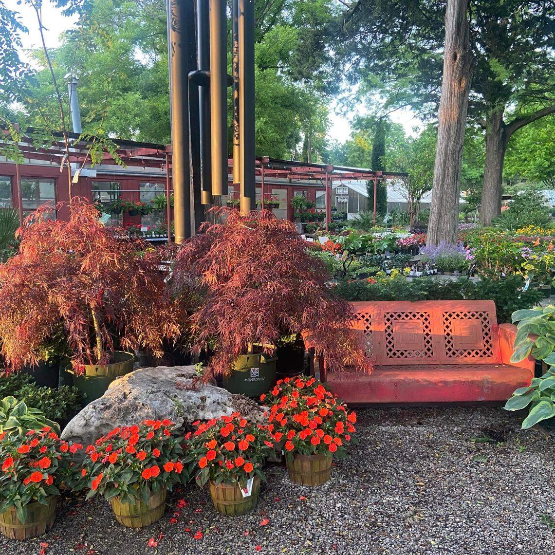 There are various seating areas, such as this vintage glider, where Hillside Nursery visitors can rest while shopping or even simply pop by for a respite from the rest of the world even if they’re not shopping.