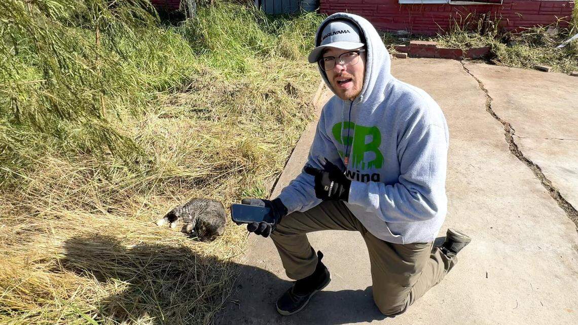 Spencer, the owner of Wichita’s SB Mowing, attempted to rescue a cat he later named SB and now is known as Esbee. As as a result of that rescue, Esbee, Spencer and his online followers ended up rescuing an entire cat sanctuary.