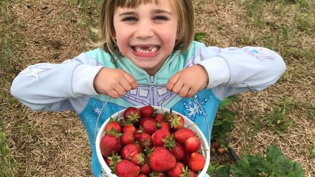 It's berry picking time in Kansas, and the strawberries will be ripe and ready at the Strawberries & Art Festival near Harper on Saturday.