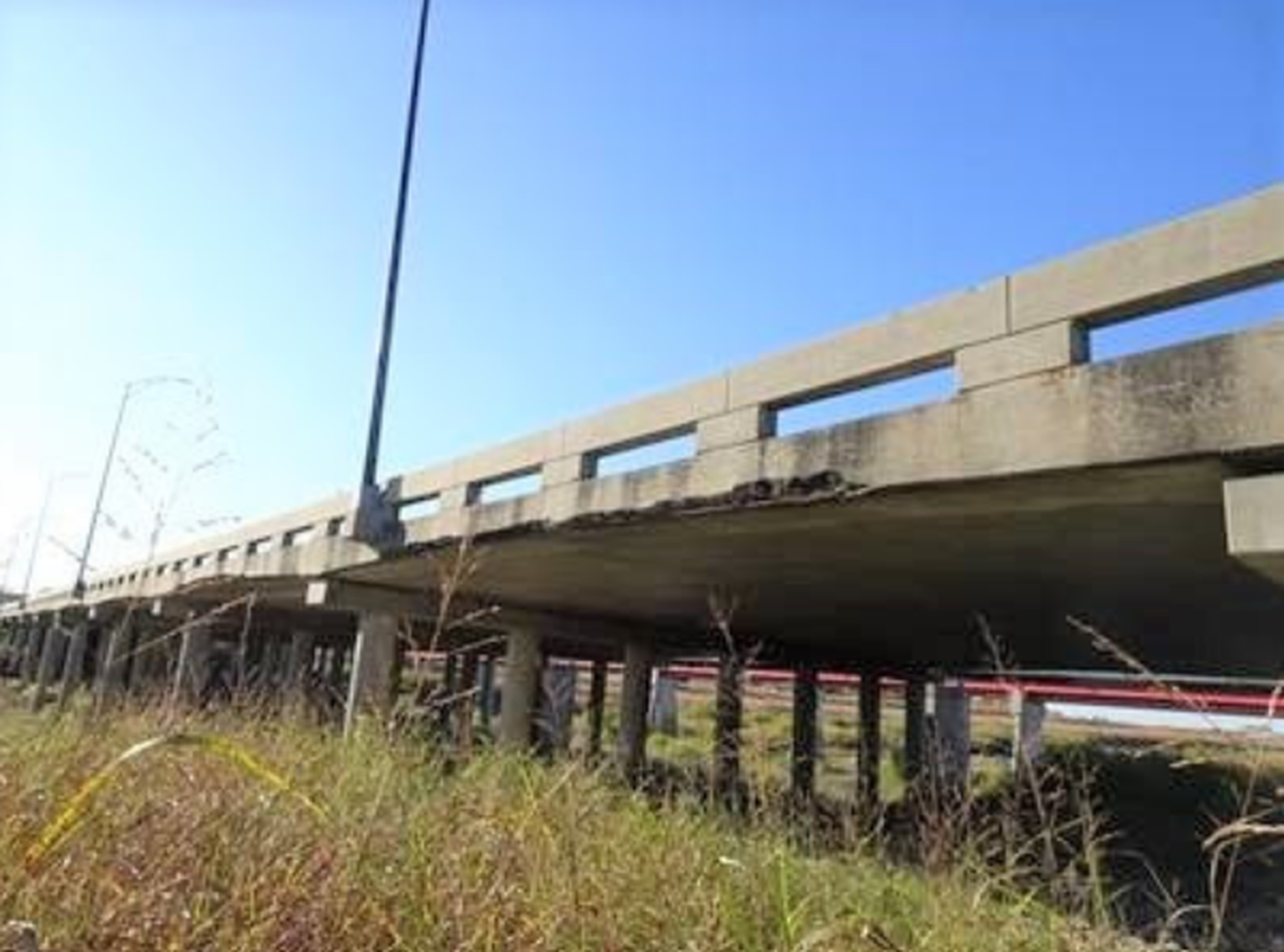 A major bridge renovation project on Zoo Blvd. will begin on Sept. 11. The project is expected to take a year.
