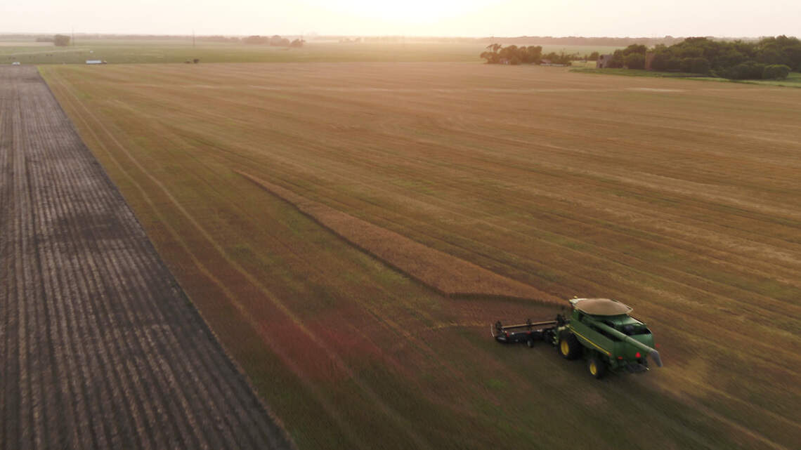 What are playas and what can they do for Kansas farmers? New study hopes to find out