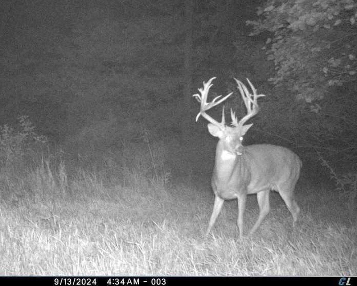 Chad Chambers’ buck in 2024.