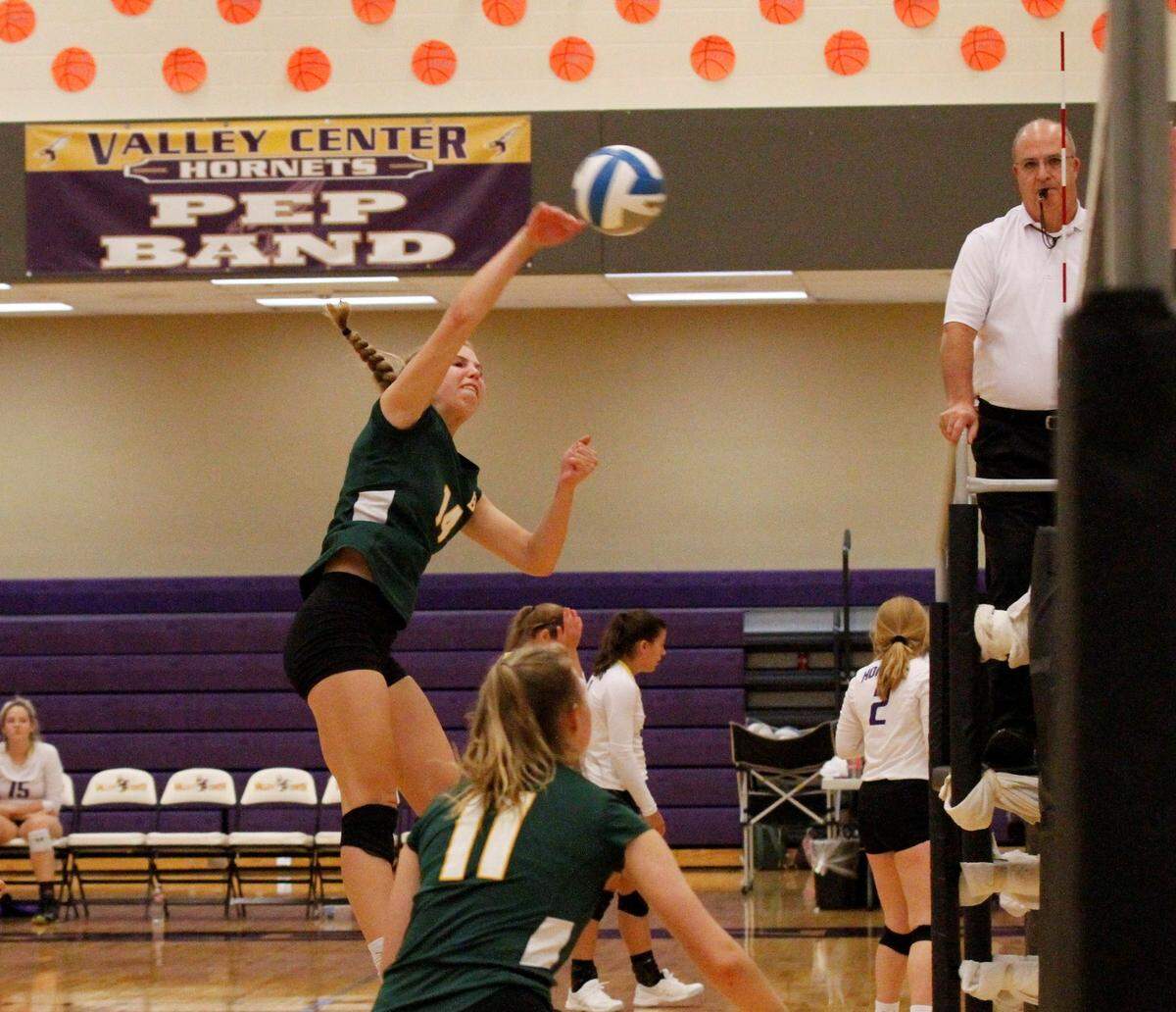 Bishop Carroll sophomore hitter Ella Larkin