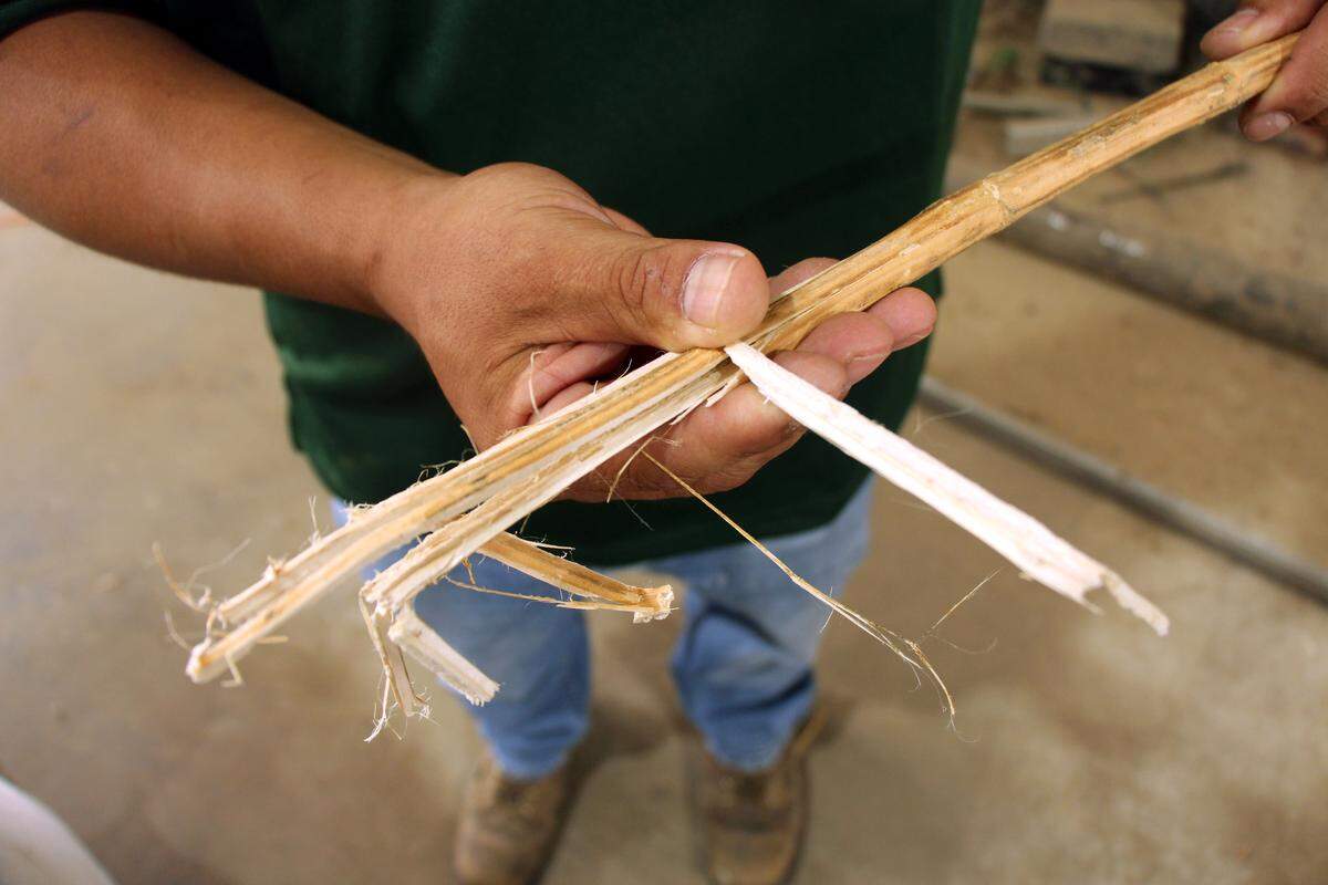 John Melchior, lead operator at Prairie Band Ag, holds up a hemp stalk. Its pithy inside is called hurd. The outside layer is called bast.