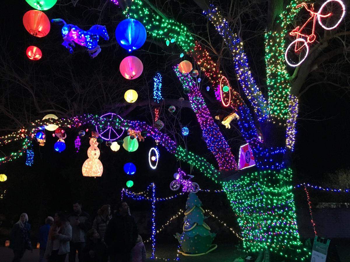 The “funky tree” at Botanica’s Illuminations is a favorite attraction.